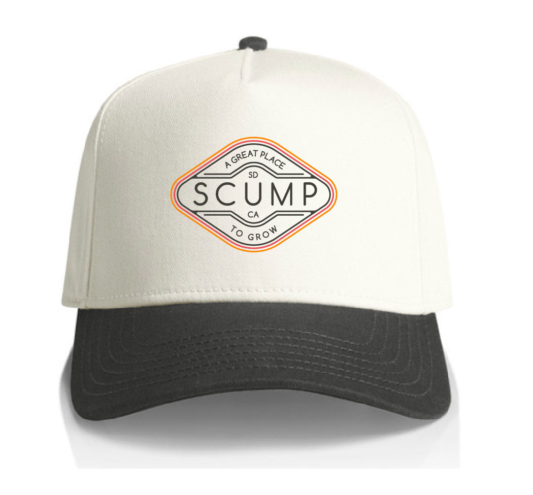 Two-Tone Hat - Natural/Charcoal